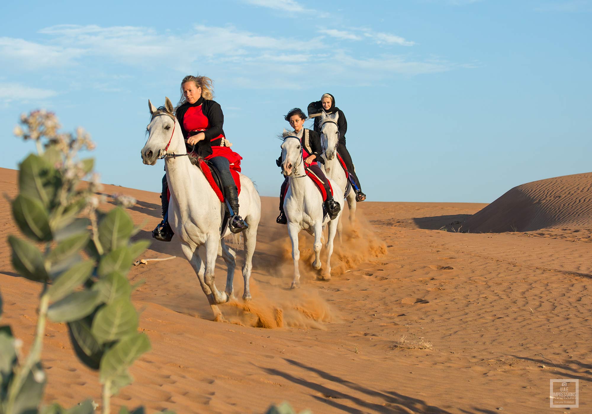 Ras al Khaimah Reiten