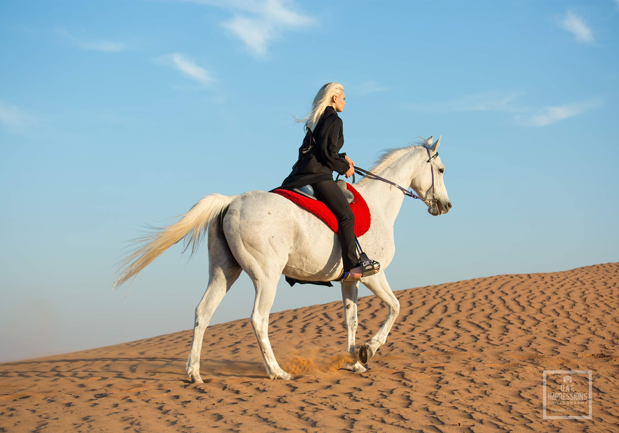 Reiten Ras al Khaimah