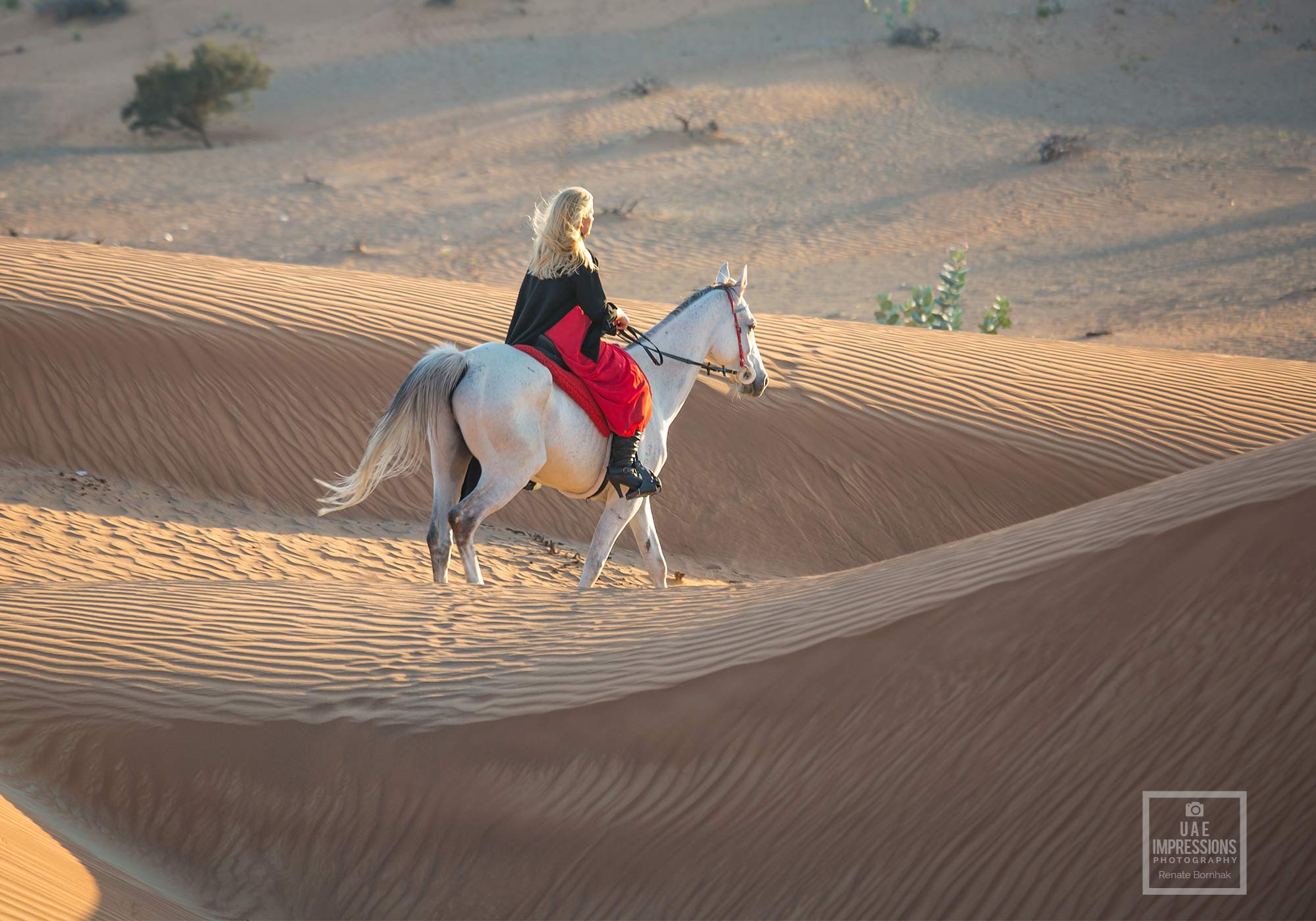 Reiten in der Wueste